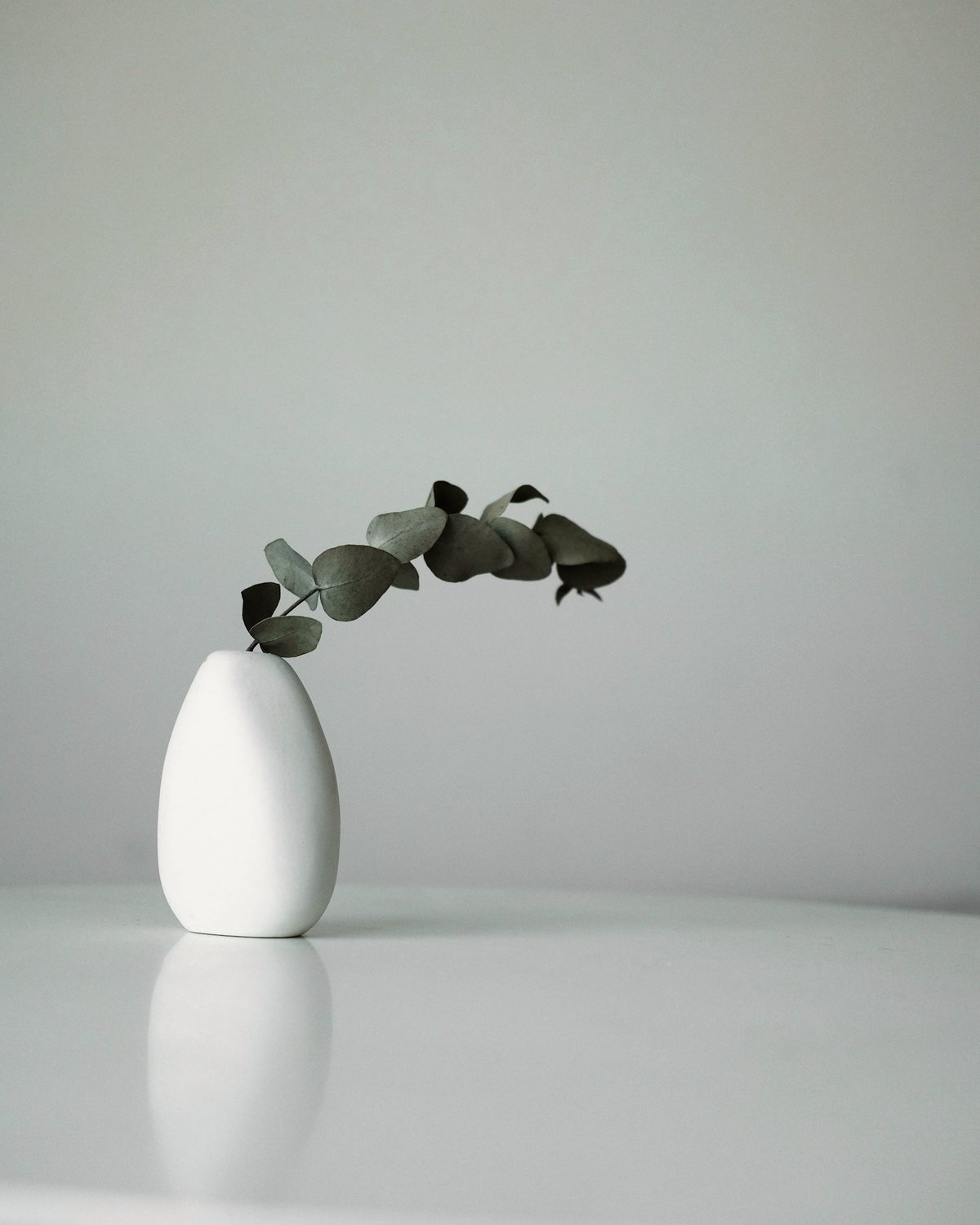 Small white Stem Vase holding a single eucalyptus branch